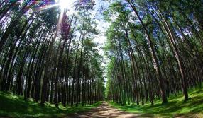 Educação Ambiental e Cidadania